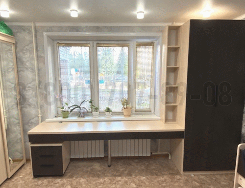 Рабочая зона модель r106 купить в Егорьевске